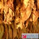 Vape Mate American Gold Tobacco 10ml